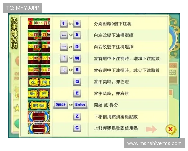 老虎机游戏机解码器的详细使用指南与最新技术解析